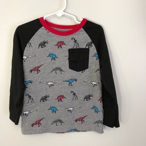Dinosaur long sleeve top
